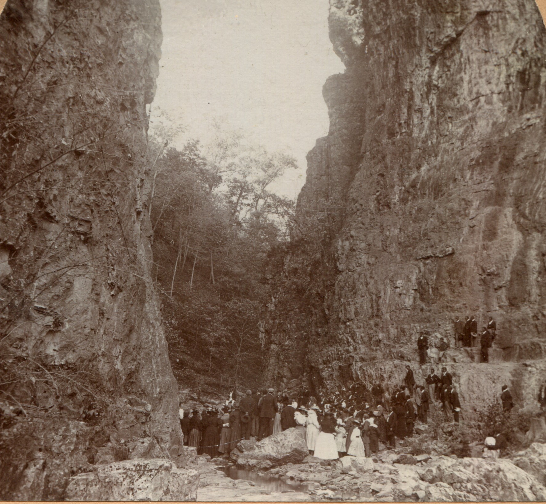 Black Histories at Natural Bridge: RHS and Natural Bridge State Park Team Together for Black History Month, 2019
